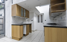 Moreleigh kitchen extension leads